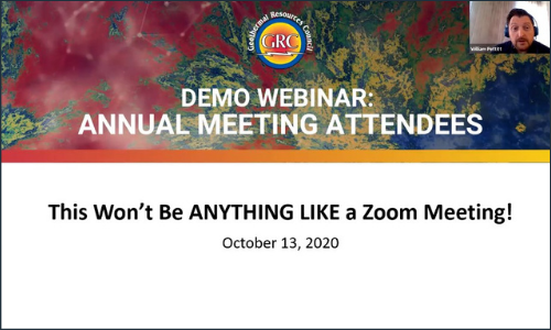 Attendees Demo Webinar